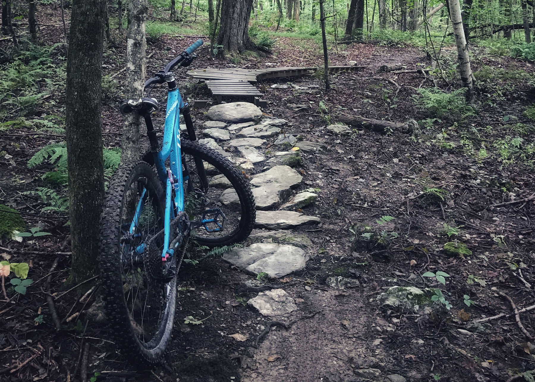 CCMBA 2018 Summer Roundup